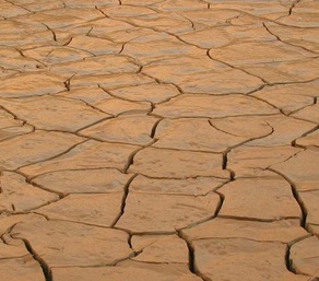 dry skin dry skin
